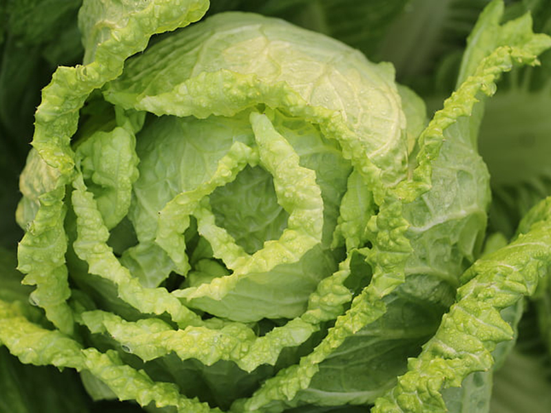 怎樣可以檢測(cè)小白菜中農(nóng)藥殘留是否超標(biāo)？