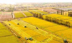 蔬菜農(nóng)藥殘留檢測儀怎么樣？
