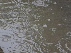 雨量監(jiān)測(cè)儀，提供雨量原始數(shù)據(jù)