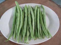 農(nóng)藥殘留檢測儀，檢測四季豆農(nóng)藥殘留含量