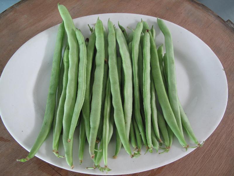 農(nóng)藥殘留檢測(cè)儀，檢測(cè)四季豆農(nóng)藥殘留含量