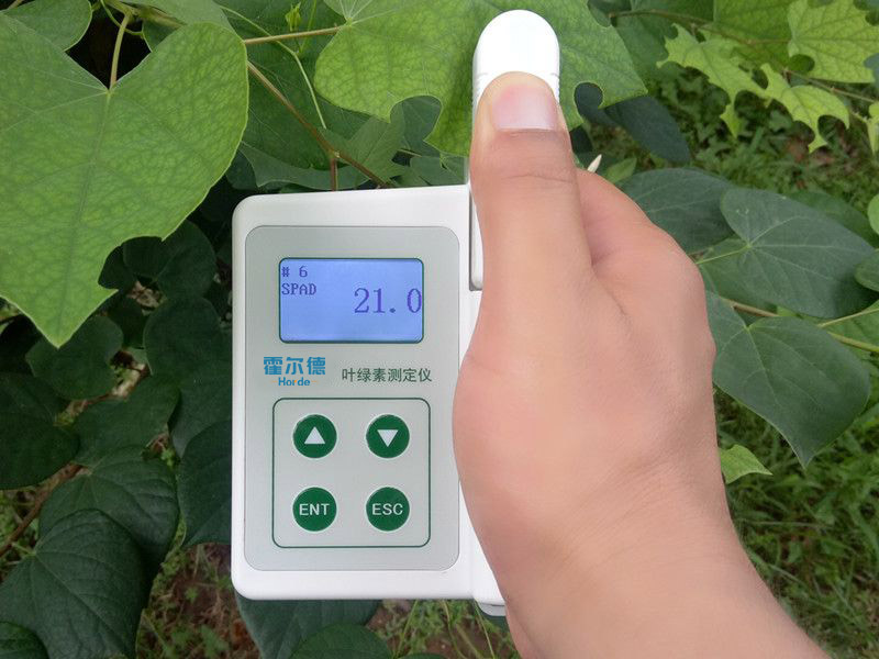 葉綠素含量測量儀，可用于植物施肥的依據(jù)